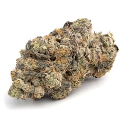 Lemon Alien Dawg cannabis strain