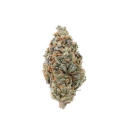 Lemon Banana Sherbert cannabis strain