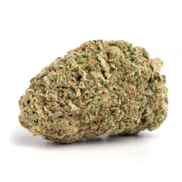 Lemon Cheesecake cannabis strain