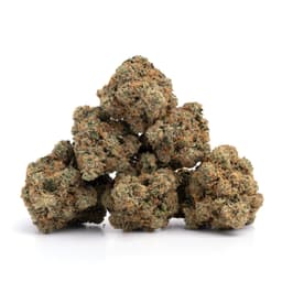 Lemon Cherry Gelato cannabis strain