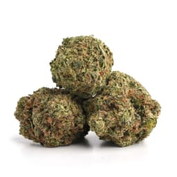 Lemon Cookies cannabis strain