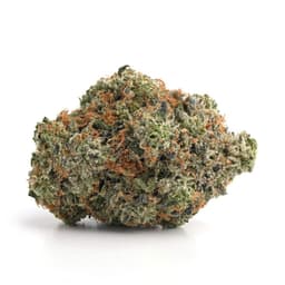 Lemon Dawg cannabis strain