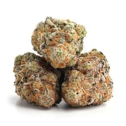 Lemon Essence cannabis strain