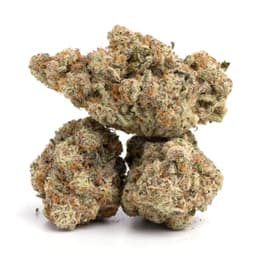 Lemon G 13 cannabis strain