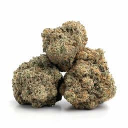 Lemon Gelato cannabis strain