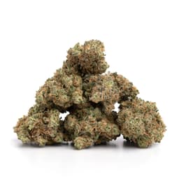 Lemon Granita cannabis strain