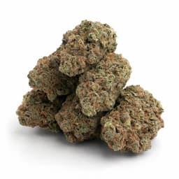 Lemon Grape Bubba Temple cannabis strain