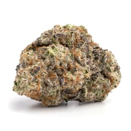 Lemon Lava #2 cannabis strain