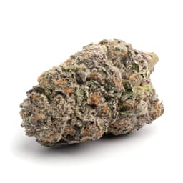 Lemon Lava cannabis strain