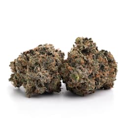 Lemon MacMelon cannabis strain