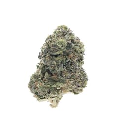 Lemon Pastries cannabis strain