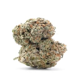Lemon Skunk Diesel cannabis strain