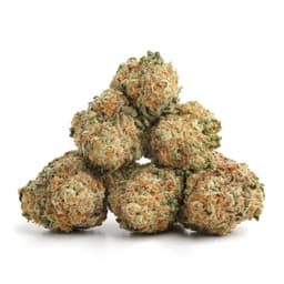 Lemon Sorbet cannabis strain