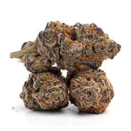Lemon Stomper cannabis strain