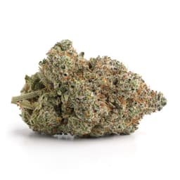 Lemon Walker cannabis strain