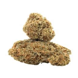 Lemon Wreck cannabis strain