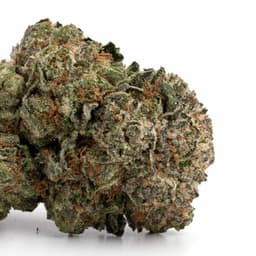 Lemonage cannabis strain