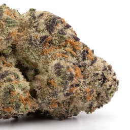 Lemonchello #28 cannabis strain