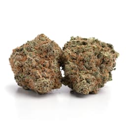 Lemonhead OG cannabis strain