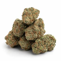 Lemonzilla cannabis strain