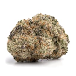 Leroy OG cannabis strain
