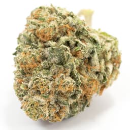 Licorice Kush cannabis strain