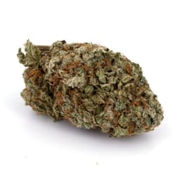 Lime Skunk cannabis strain