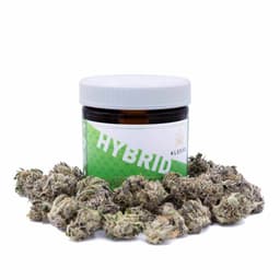Long Valley Royal Kush cannabis strain