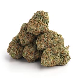 Loopy Fruit cannabis strain