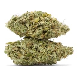 Malawi cannabis strain