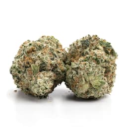 Mandarin Z cannabis strain