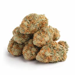 Marilyn OG cannabis strain