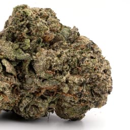 Marionberry Kush cannabis strain