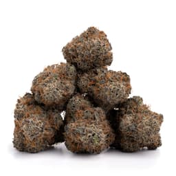 Master Bubba cannabis strain