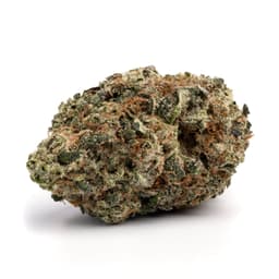 Master Widow cannabis strain
