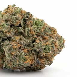 Masterlow cannabis strain