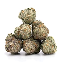 Maui Berry cannabis strain