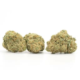 Maui Bubble Gift cannabis strain