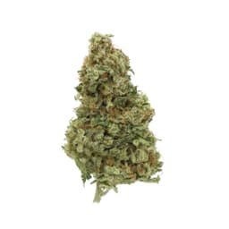 Maui Haole cannabis strain