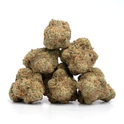 Med Haze cannabis strain