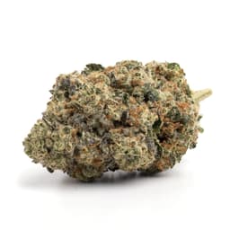 Melonatta cannabis strain