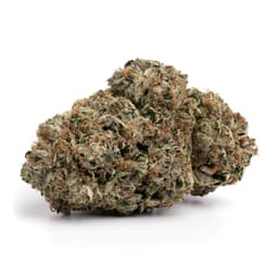 Member Berry cannabis strain