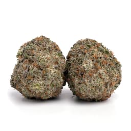 Mercury OG cannabis strain