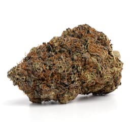 Miracle Fruit cannabis strain
