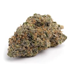 Miss Fire cannabis strain