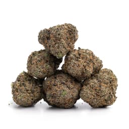 Monkey Banana cannabis strain