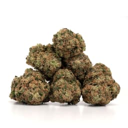 Monster Blueberry cannabis strain