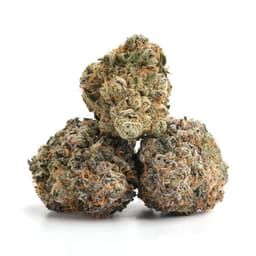 Mother Lode OG cannabis strain
