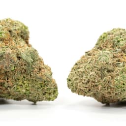 Mystery OG cannabis strain