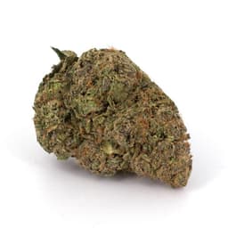 NYC Sour Diesel cannabis strain